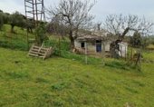 Rural estate for sale on Viña Grande, Higuera de Vargas, ref: TR230251 photo
