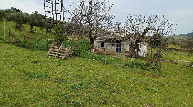 Badajoz - Higuera de Vargas - 73000m2