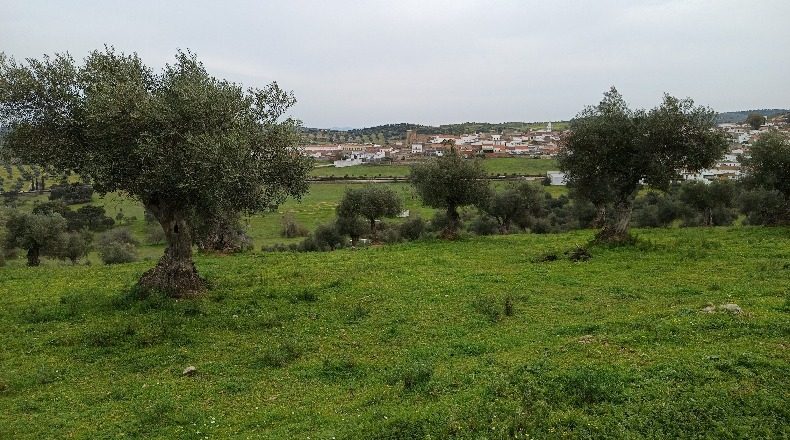 Badajoz - Higuera de Vargas - 73000m2
