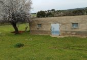 Rural estate for sale on Viña Grande, Higuera de Vargas, ref: TR230251 photo