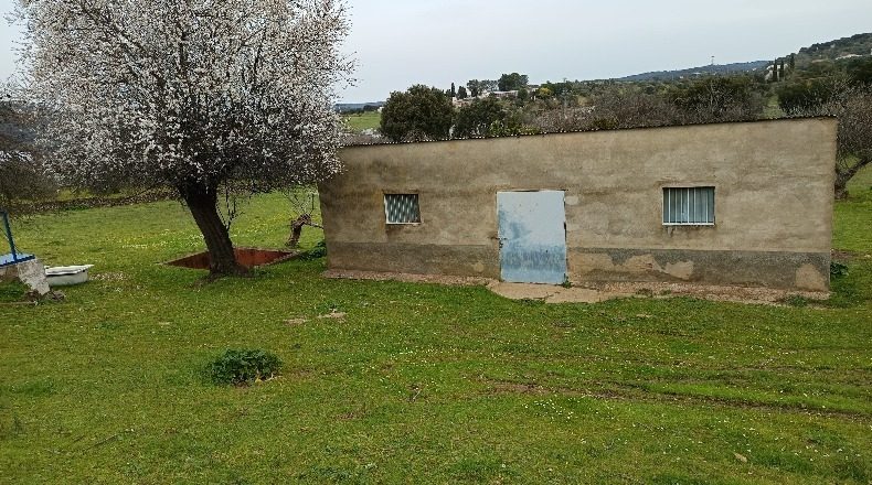 Badajoz - Higuera de Vargas - 73000m2