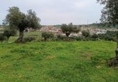 Rural estate for sale on Viña Grande, Higuera de Vargas, ref: TR230251 photo