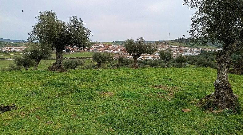 Badajoz - Higuera de Vargas - 73000m2