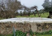 Rural estate for sale on Viña Grande, Higuera de Vargas, ref: TR230251 photo
