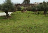 Rural estate for sale on Viña Grande, Higuera de Vargas, ref: TR230251 photo