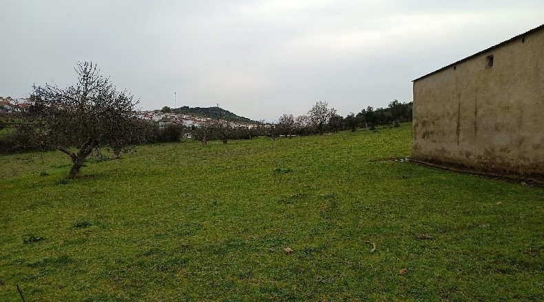 Badajoz - Higuera de Vargas - 73000m2