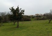 Rural estate for sale on Viña Grande, Higuera de Vargas, ref: TR230251 photo