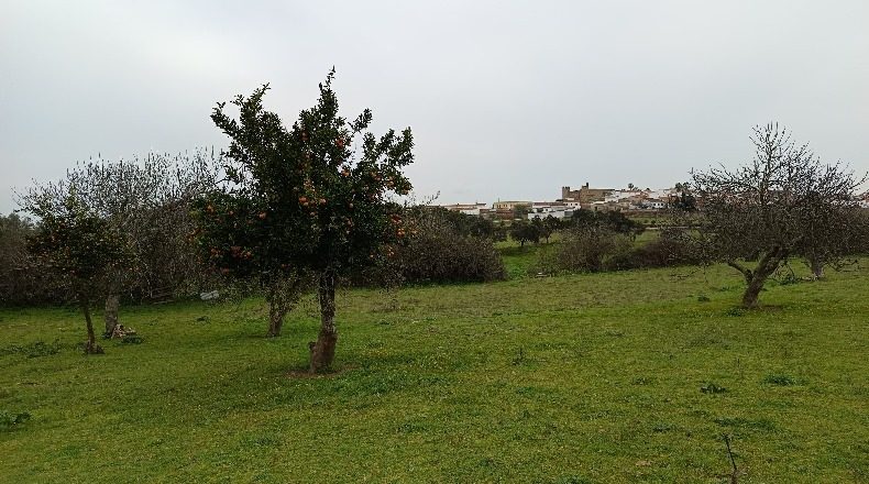 Badajoz - Higuera de Vargas - 73000m2