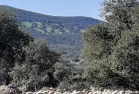 Higuera de la Serena 2440000&nbsp;m²