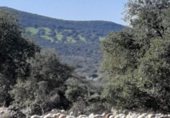Rural estate for sale on Higuera de la Serena, ref: TR230973 photo