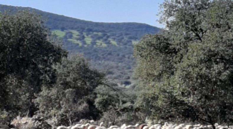 Badajoz - Higuera de la Serena - 2440000m2