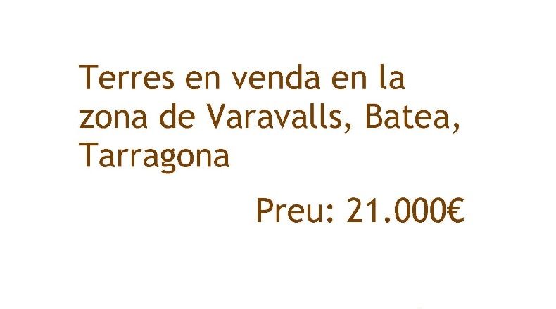 Tarragona - Batea - 23701m2