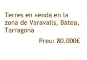 Terreno en venta en la VARAVALL, Batea, ref: TR231010 foto