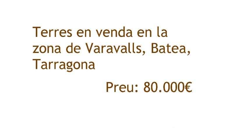 Tarragona - Batea - 58154m2
