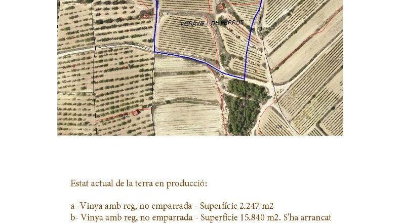 Tarragona - Batea - 58154m2