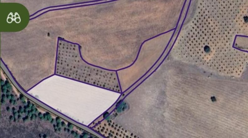 Ciudad Real - Puertollano - 123000m2