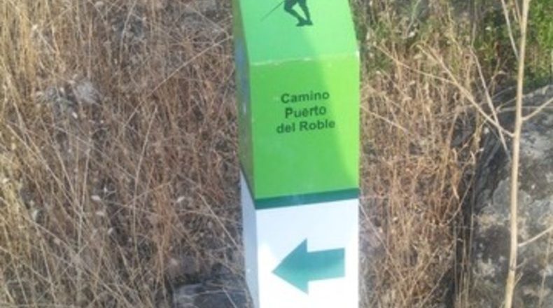 Ciudad Real - Puertollano - 123000m2