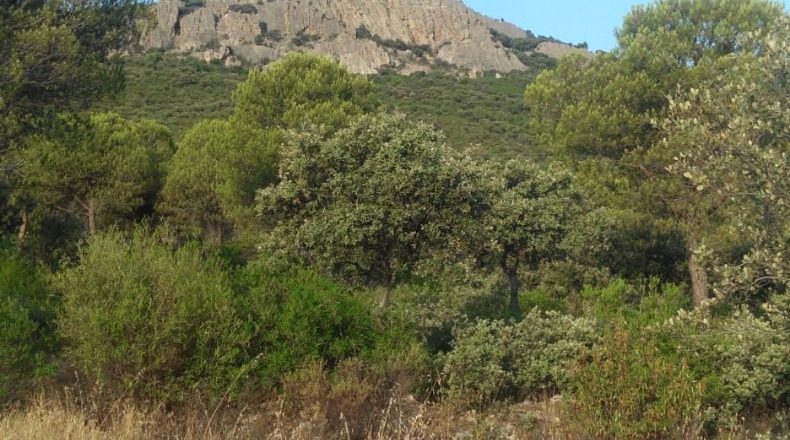 Ciudad Real - Puertollano - 123000m2