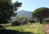Land suitable for development for sale on camino Mestanza, Puertollano, ref: TR231012 photo