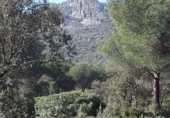 Land suitable for development for sale on camino Mestanza, Puertollano, ref: TR231012 photo