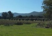 Land suitable for development for sale on camino Mestanza, Puertollano, ref: TR231012 photo