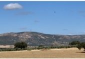 Land suitable for development for sale on camino Mestanza, Puertollano, ref: TR231012 photo