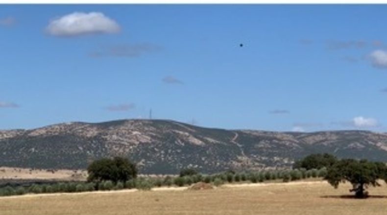 Ciudad Real - Puertollano - 123000m2