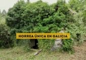 Finca rústica en venda a la Larra Da ponte Agolada, Fondo de Brántega, ref.: TR231023 foto