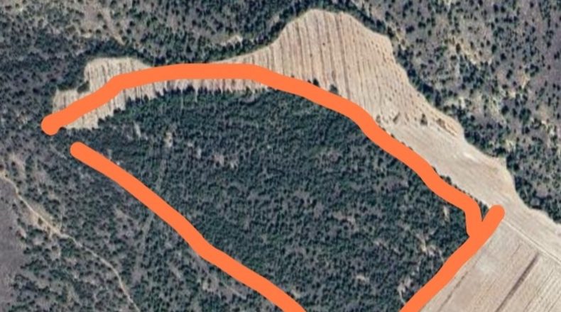 Murcia - Lorca - 156000m2