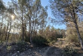 Lorca 156000&nbsp;m²