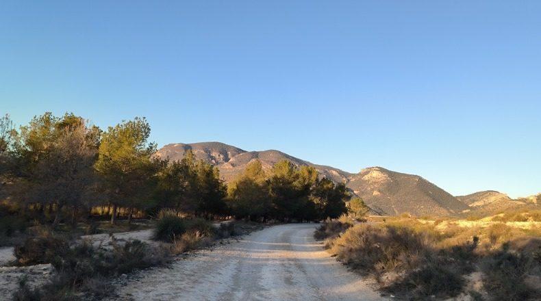 Murcia - Lorca - 156000m2