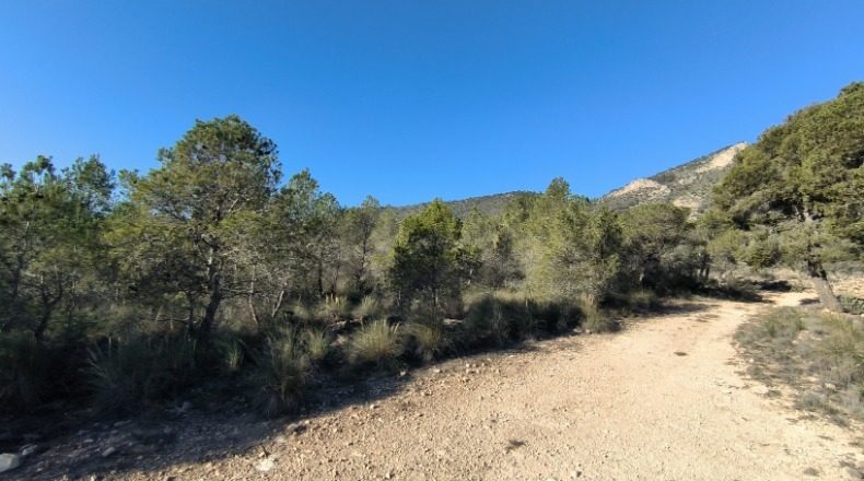 Murcia - Lorca - 156000m2