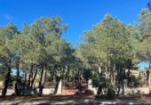 Land suitable for development for sale on Calle Madroños, Alba de Tormes, ref: TR231033 photo