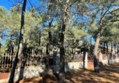 Land suitable for development for sale on Calle Madroños, Alba de Tormes, ref: TR231033 photo