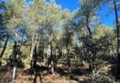 Land suitable for development for sale on Calle Madroños, Alba de Tormes, ref: TR231033 photo