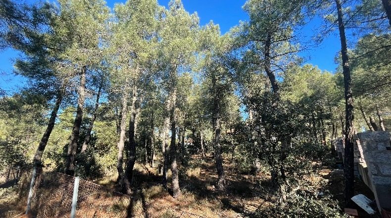 Salamanca - Alba de Tormes - 1000m2
