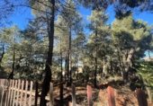 Land suitable for development for sale on Calle Madroños, Alba de Tormes, ref: TR231033 photo