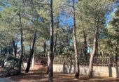 Land suitable for development for sale on Calle Madroños, Alba de Tormes, ref: TR231033 photo