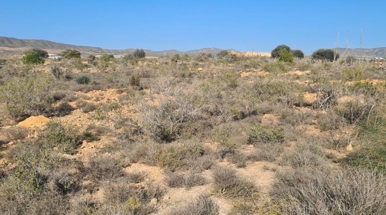 Almeria - Níjar - 32000m2