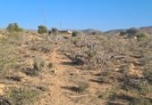 Terreny amb ruïnes en venda a la El Hornillo, Níjar, ref.: TR231040 foto