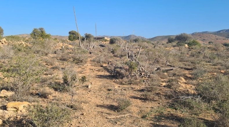 Almeria - Níjar - 32000m2