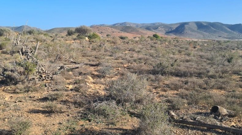 Almeria - Níjar - 32000m2