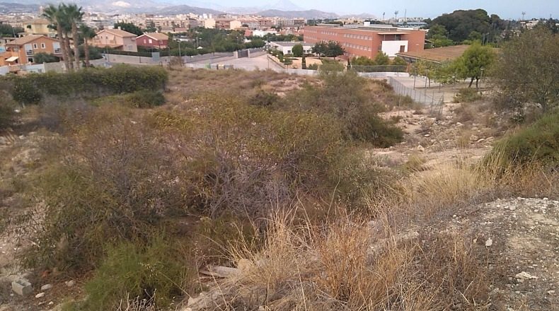Alicante - Muchamiel - 3406m2