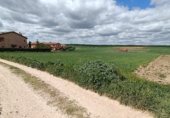 Land suitable for development for sale on Calle Eras de Arriba, Segovia, ref: TR231049 photo