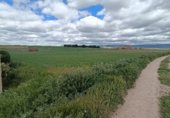 Land suitable for development for sale on Calle Eras de Arriba, Segovia, ref: TR231049 photo