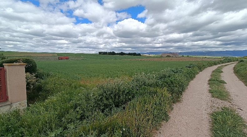 Segovia - Segovia - 3110m2