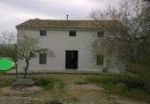 Terreno no urbanizable en venta en la Carretera de A-401 a Peal de Becerro, Peal de Becerro, ref: TR231048 foto