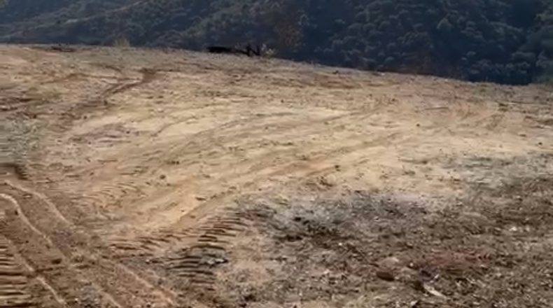 Málaga - Málaga - 118500m2