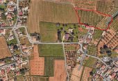 Non-developable land for sale on Urbanizacion Serreta Alta, Real, ref: TR231059 photo