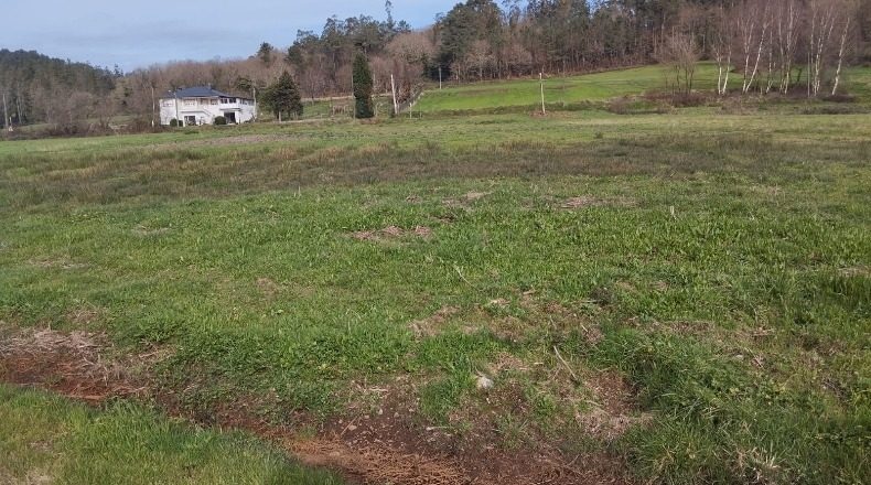 La Coruña - Reboredo de Abaixo - 5300m2